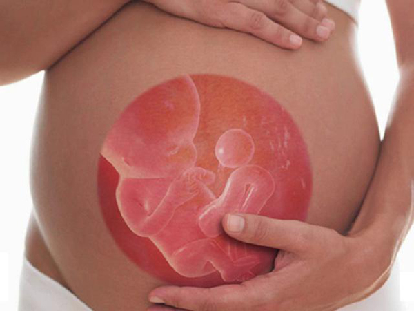 Tùy vào tuần tuổi thai nhi sẽ có tư thế nằm khác nhau