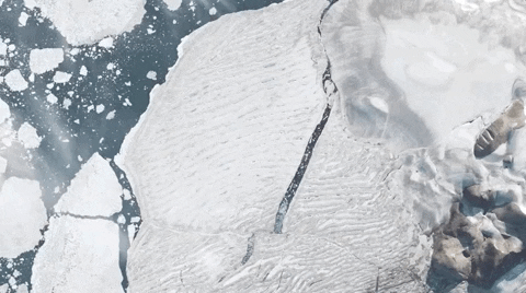 Hình ảnh vệ tinh cho thấy những ngày cuối cùng của thềm băng duy nhất còn sót lại ở Canada trước khi biến mất - Ảnh 1