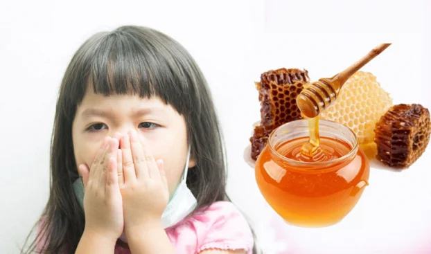 Sử dụng mật ong để trị ho cho trẻ cần lưu ý điều gì? - Ảnh 1