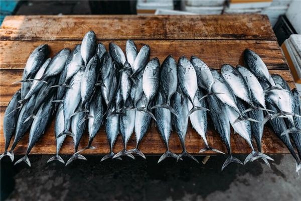 4 loại cá gây tổn hại cho thận, nhiều người ăn thường xuyên nhưng không hề biết ‘purin’ tích đầy cơ thể, khiến bệnh ngày càng nặng - Ảnh 6