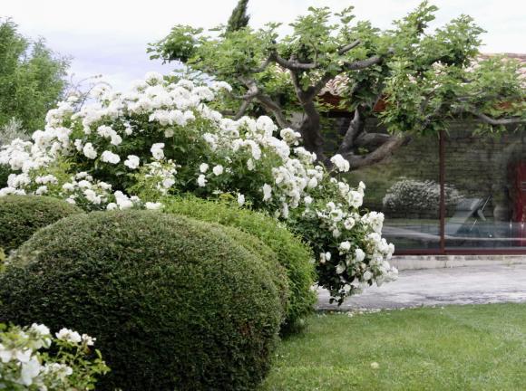 Mãn nhãn ngắm không gian sống tại Pháp của diva Hồng Nhung và bạn trai: Khu vườn rộng 6 hecta tràn ngập hương hoa như lạc vào thế giới cổ tích - Ảnh 7