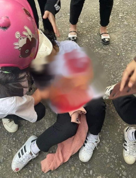 Nguyên nhân nữ sinh lớp 10 ở Quảng Ninh đâm 2 nữ sinh trọng thương - Ảnh 1