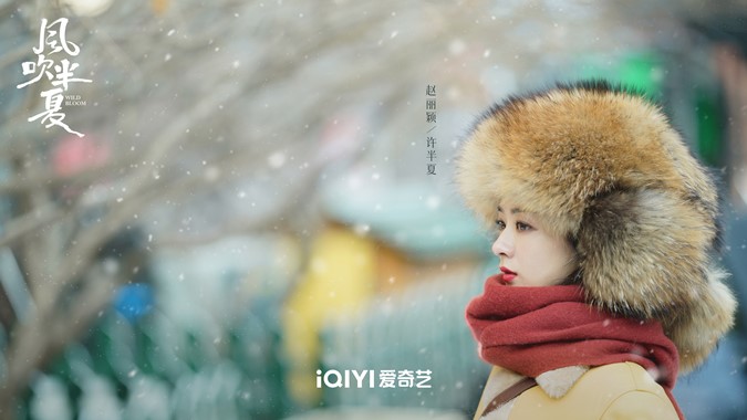 'Phát hoảng' với tiêu chuẩn phim 'bạo' mà netizen đặt ra cho Gió Thổi Bán Hạ của Triệu Lệ Dĩnh - Ảnh 5