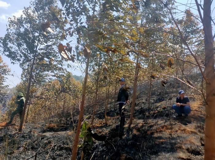 Kon Tum: Dập tắt cháy rừng, phát hiện thi thể 2 công nhân - Ảnh 1