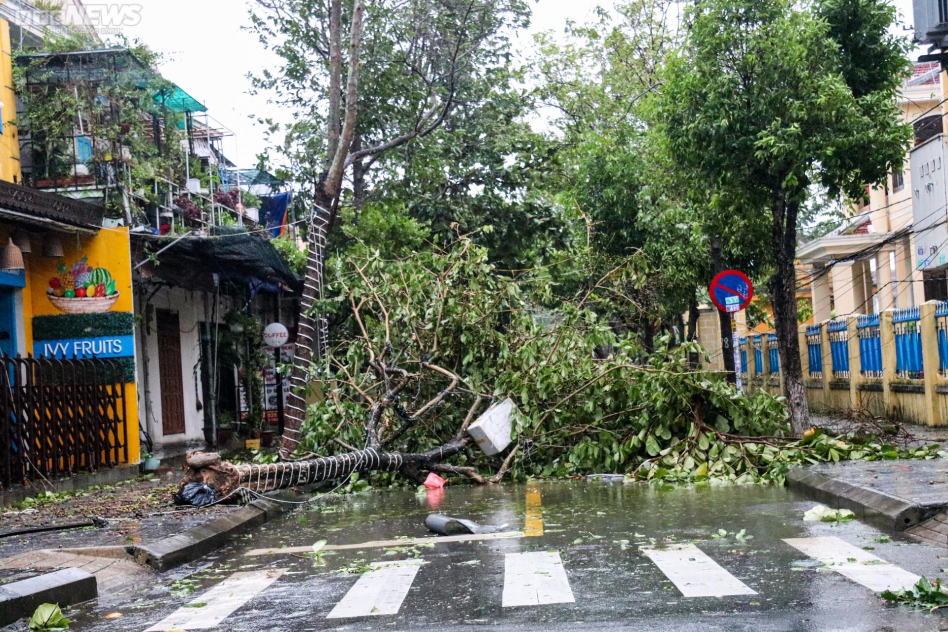 Khung cảnh tang thương, nước sông dâng ngập chợ và nhà dân, cây cối đổ sập, bật gốc tại Quảng Nam sau bão - Ảnh 1