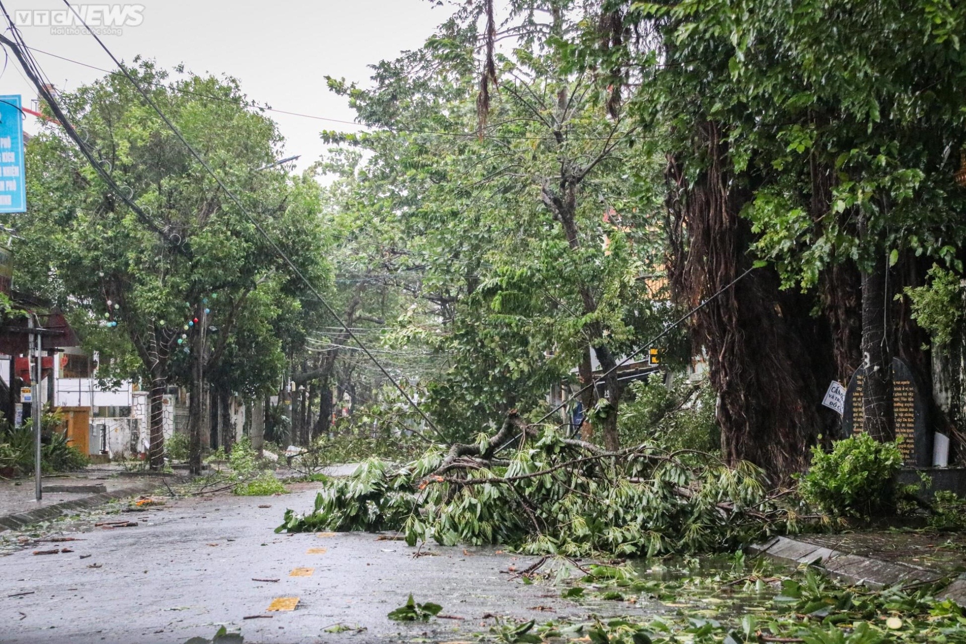 Khung cảnh tang thương, nước sông dâng ngập chợ và nhà dân, cây cối đổ sập, bật gốc tại Quảng Nam sau bão - Ảnh 3