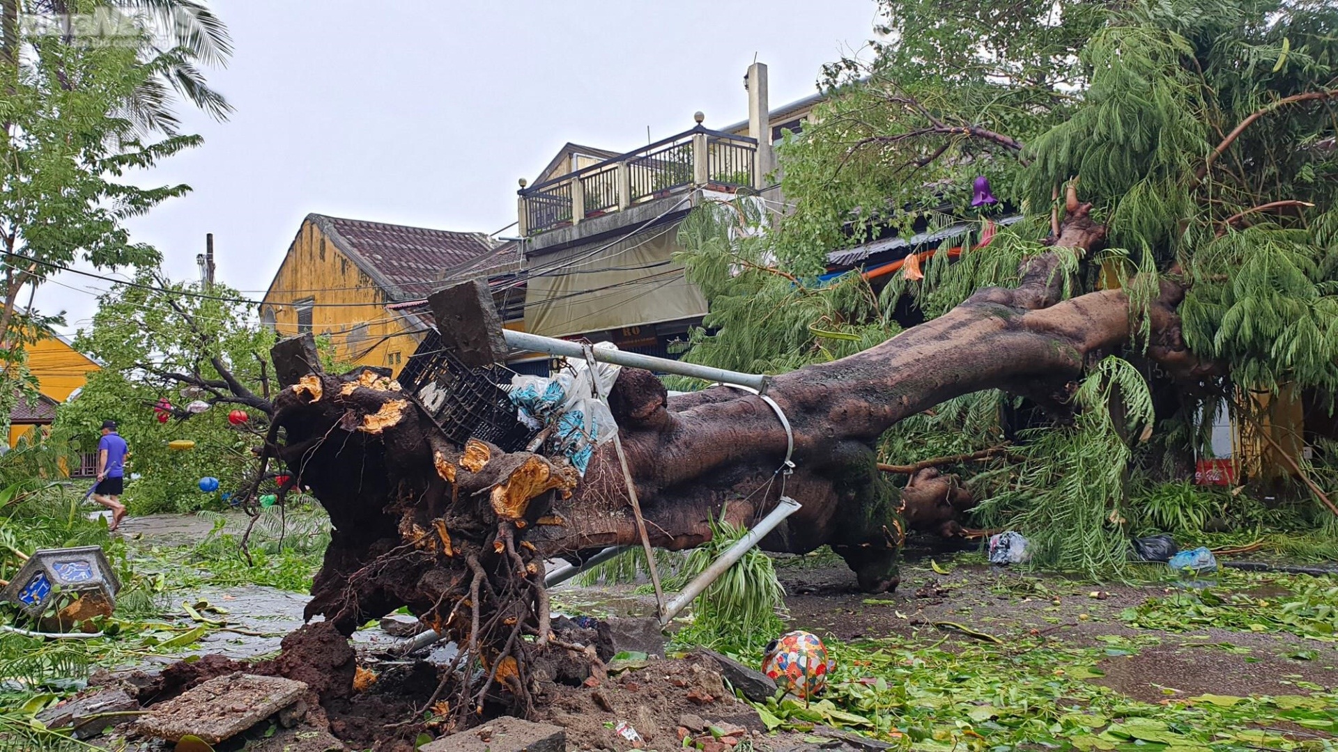 Khung cảnh tang thương, nước sông dâng ngập chợ và nhà dân, cây cối đổ sập, bật gốc tại Quảng Nam sau bão - Ảnh 4