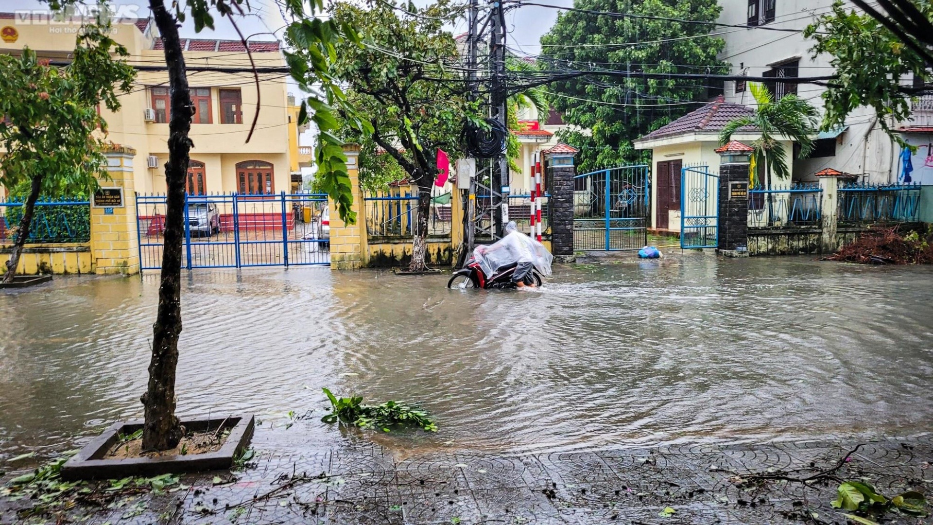 Khung cảnh tang thương, nước sông dâng ngập chợ và nhà dân, cây cối đổ sập, bật gốc tại Quảng Nam sau bão - Ảnh 7