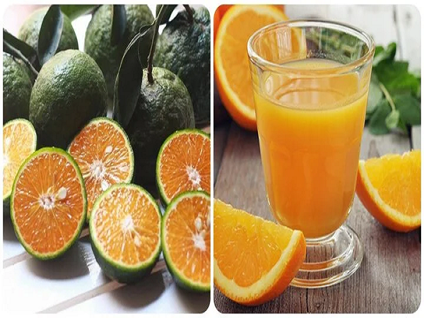 Mẹo hay mùa thi cử: Cho con uống nước cam không chỉ bổ sung vitamin còn giúp bé nâng cao trí nhớ, giảm căng thẳng - Ảnh 1