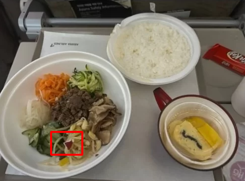 Hành khách bị gãy 3 chiếc răng khi ăn suất ăn trên máy bay  - Ảnh 2