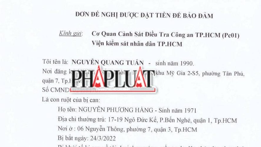 Diễn biến MỚI trong vụ án liên quan đến bị can Nguyễn Phương Hằng - Ảnh 2