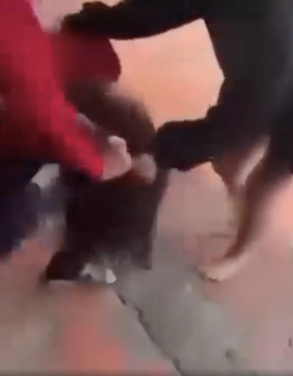 Nóng: Một nữ sinh Hà Nội bị đánh hội đồng, quỳ gối van xin vẫn không được tha - Ảnh 3