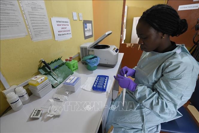 Nigeria: Cảnh báo số người tử vong do sốt virus Lassa tăng cao lên đến 142 người - Ảnh 1