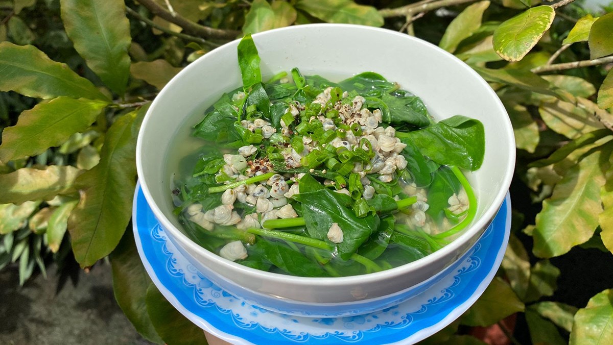 Người Việt ăn canh rau mồng tơi vào mùa hè cần nhớ: 3 điều cấm kỵ, 5 đối tượng không nên ăn, ai biết rồi cần tránh kẻo mang hại sức khỏe - Ảnh 2