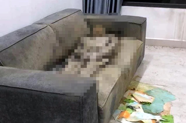 Vụ cô gái chết 'khô' trên ghế sofa: Công an tỉnh Đồng Nai tiết lộ một chi tiết bất ngờ - Ảnh 1