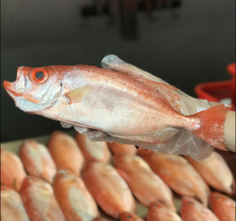 Đi chợ thấy 4 loại cá này nên mua ngay: Người bán hàng tiết lộ ngọt thịt, ít xương lại giàu dinh dưỡng - Ảnh 2