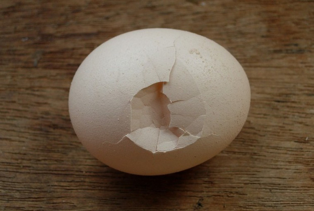 4 kiểu trứng hỏng gây hại cho sức khỏe nhưng nhiều người vẫn tiếc rẻ mà cố ăn - Ảnh 4