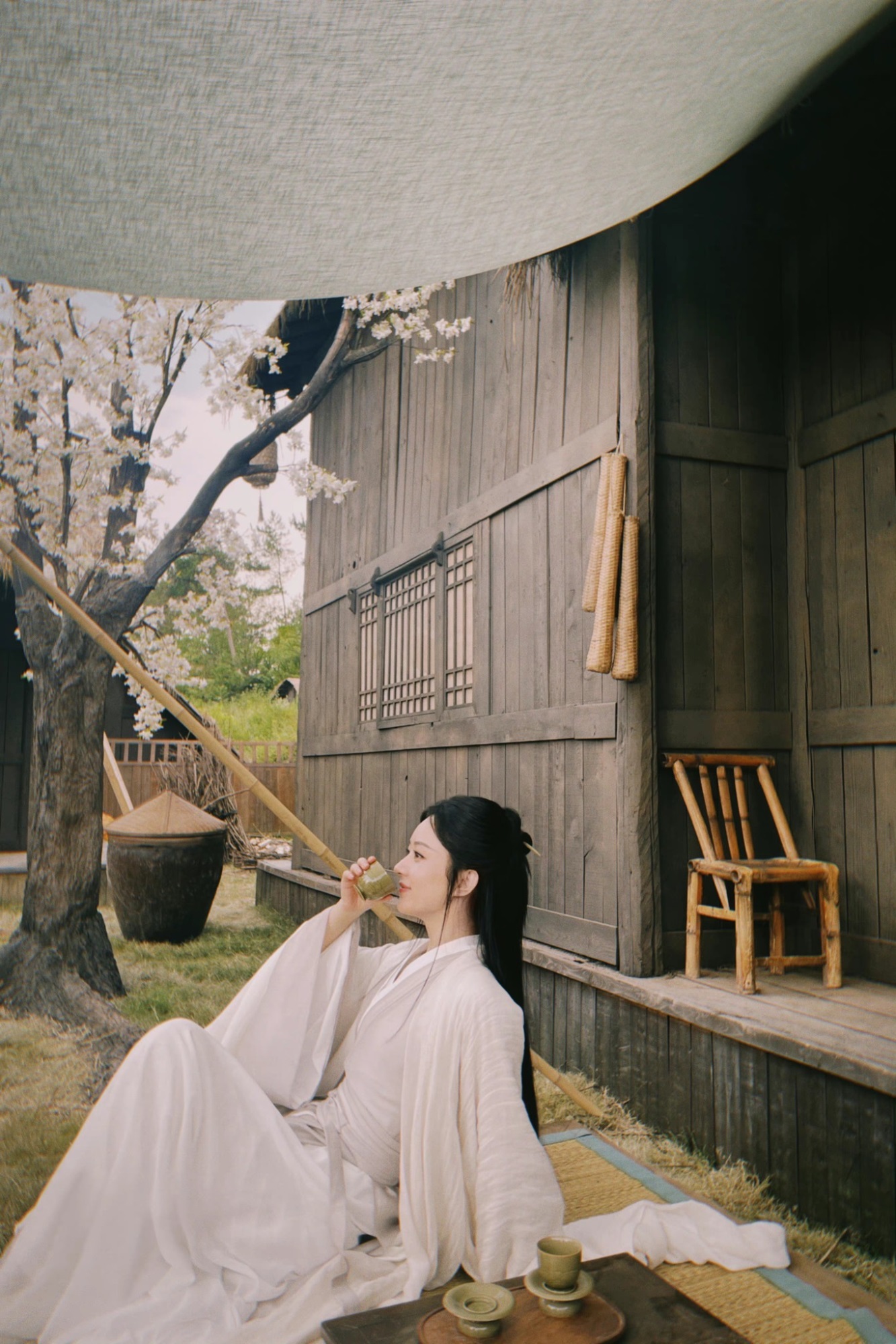 Tạo hình cổ trang 'gây sốt' của Triệu Lệ Dĩnh trong dự án phim 'nên duyên' cùng Lâm Canh Tân - Ảnh 3