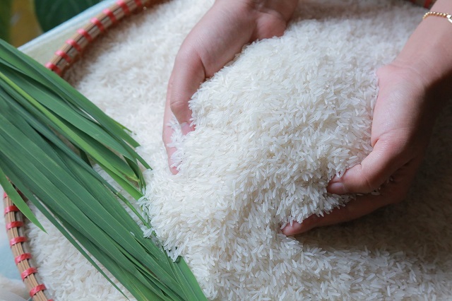 Tiết lộ 4 loại gạo chứa nhiều độc tố, gây hại trực tiếp đến ruột và dạ dày, có rẻ đến mấy cũng đừng mua - Ảnh 1