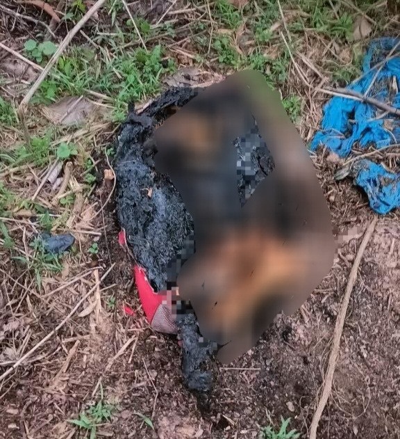 Chỉ đạo mới của công an Bình Dương về việc phát hiện chiếc túi chứa phần thi thể người phụ nữ bị đốt cháy   - Ảnh 4