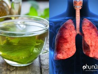 'Tiên dược' cho phổi: Trị ho, viêm phổi, viêm phế quản, hen suyễn thần tốc không cần thuốc