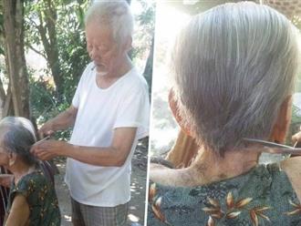 Chuyện tình 70 năm đẹp như giấc mơ của cụ ông trong bức hình tự tay cắt tóc cho vợ