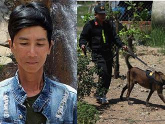 Án mạng rúng động ở Khánh Hòa: Truy lùng nghi phạm bằng chó nghiệp vụ