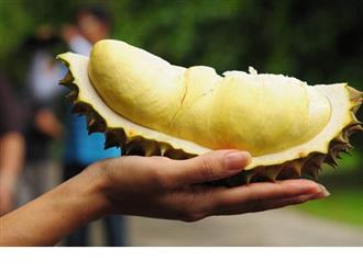 Phụ nữ sau sinh ăn sầu riêng được không?