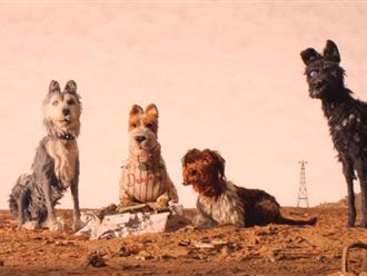 Top 15+ phim về chó hay và đáng yêu nhất mà bạn không nên bỏ lỡ