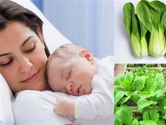 Phụ nữ sau sinh nên ăn rau gì, mẹ đã biết chưa?