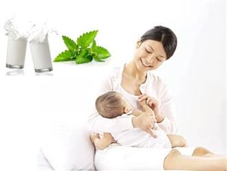Mẹ sau sinh có uống được sữa tươi không và cần lưu ý những gì?