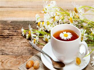 Hướng dẫn cách pha trà hoa cúc mật ong mang lại những hiệu quả “thần kỳ”