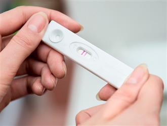 Độ chính xác của que thử thai nhanh là bao nhiêu phần trăm?
