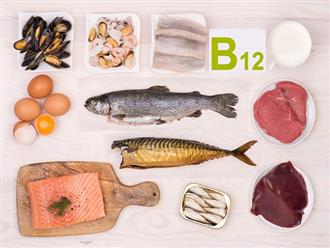 Các thực phẩm giàu vitamin B12 giúp cơ thể khỏe mạnh