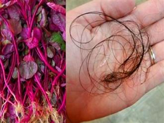 Nỗi lo tóc rụng mãi không ngừng được trị triệt để chỉ với rau dền đỏ