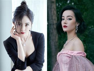 Những mỹ nhân Hoa ngữ đẹp nhất theo tiêu chuẩn người nước ngoài: Địch Lệ Nhiệt Ba cũng phải 'chào thua' với nữ hoàng dao kéo