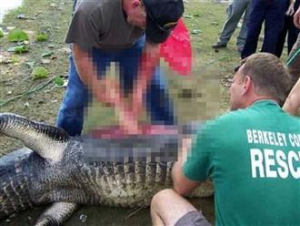 Cá sấu 'khủng' nặng hơn 2 tạ bị bắt, khi mổ ra xem đến cả cảnh sát cũng 'gặp ác mộng' khi nhìn thấy thứ bên trong