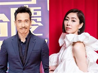 Trần Hào, Hồ Định Hân và dàn sao 'quyền lực' nhất TVB ở thời điểm hiện tại