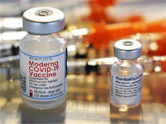 Vì sao các liều vaccine tăng cường không được tinh chỉnh để phù hợp tất cả các biến thể của Covid-19?
