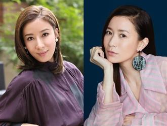 Xa Thi Mạn, Dương Di được TVB ra sức mời trở lại trong nỗ lực vực dậy thời hoàng kim