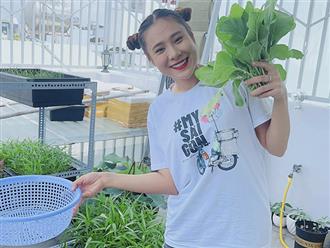 Cuộc sống vợ chồng son Hồ Bích Trâm: Chăm vào bếp, trồng rau xanh mướt cải thiện bữa cơm gia đình