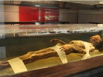 Xác chết cổ bí ẩn thời Chiến Quốc bất ngờ được tìm thấy ở mương nước và quả báo dành cho kẻ xâm phạm mộ phần sau 23 năm