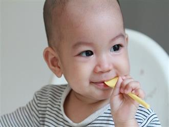 Ăn các loại thực phẩm này, trí não của trẻ sẽ được kích thích phát triển tối đa