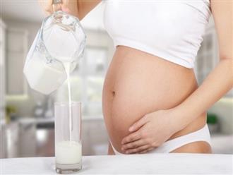 Những loại sữa nào bà bầu nên uống khi mang thai?