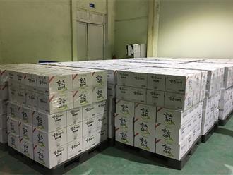 Xử lý trên 33.000 chai rượu vi phạm nhãn hiệu của Công ty CP Việt Pháp Victory