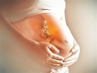 Có 4 thời điểm thụ thai mẹ cần tránh xa, kẻo khiến thai nhi bị dị tật từ trong bụng mẹ