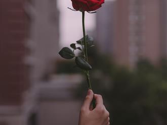 Ngày hoa hồng 2023: Ngày hoa hồng diễn ra khi nào, lịch sử và ý nghĩa của ngày này?