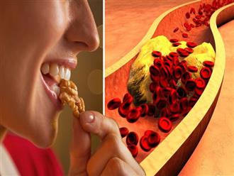 5 loại thực phẩm là "cao thủ" điều tiết cholesterol, lợi tim bổ máu, không ăn là tiếc hùi hụi