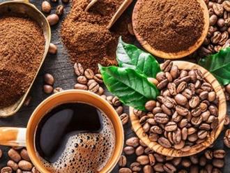 Nghiên cứu: Uống 2 - 3 tách cà phê mỗi ngày có thể giảm nguy cơ suy thận cấp