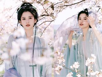 'Con gái cưng của Châu Tấn' Trương Tịnh Nghi 'gây bão' với bộ ảnh mỹ nhân cổ trang 